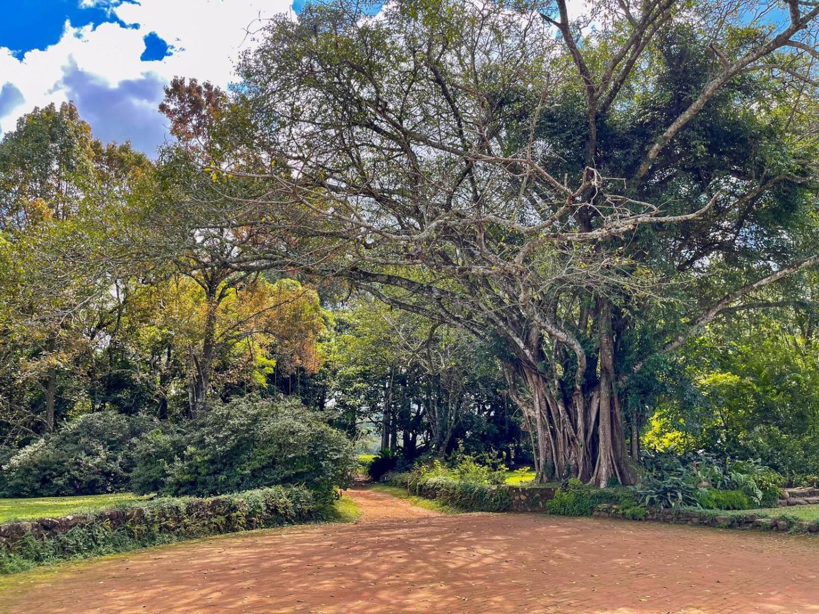Huntingdon House And Chawani Bungalow Thyolo Esterno foto
