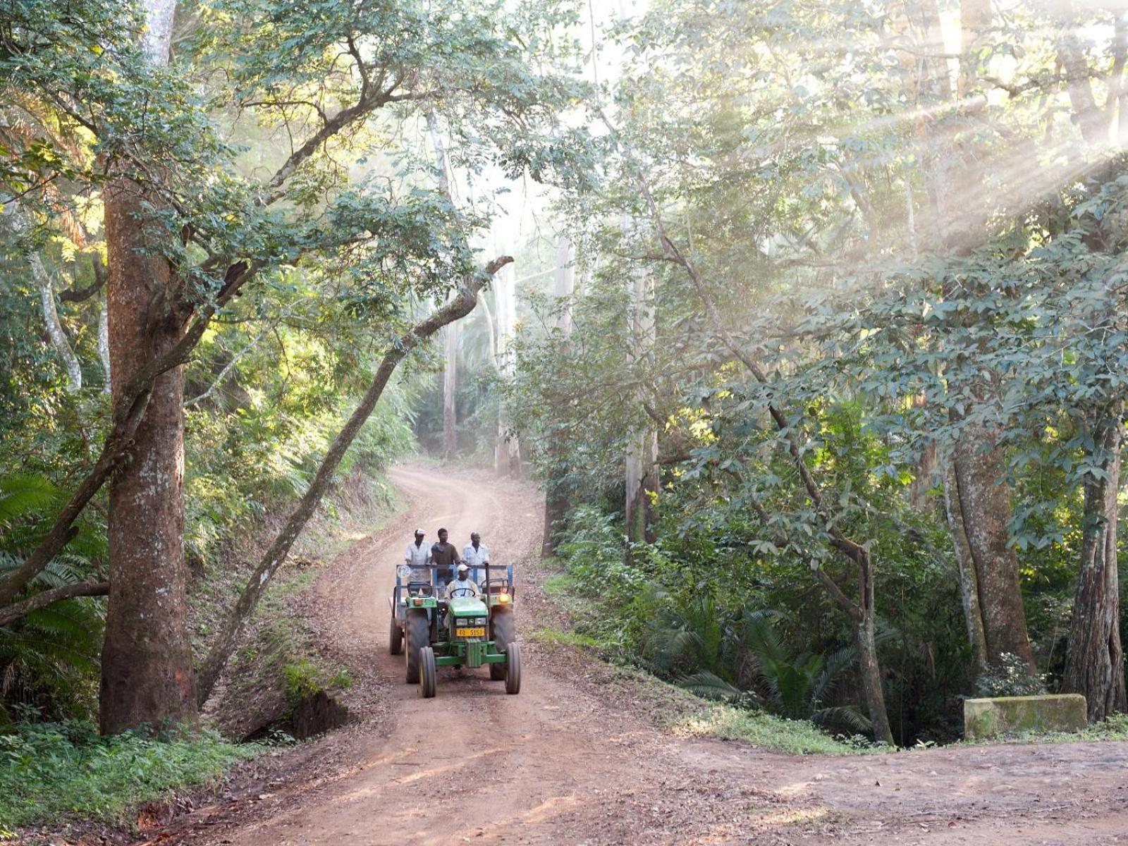 Huntingdon House And Chawani Bungalow Thyolo Esterno foto