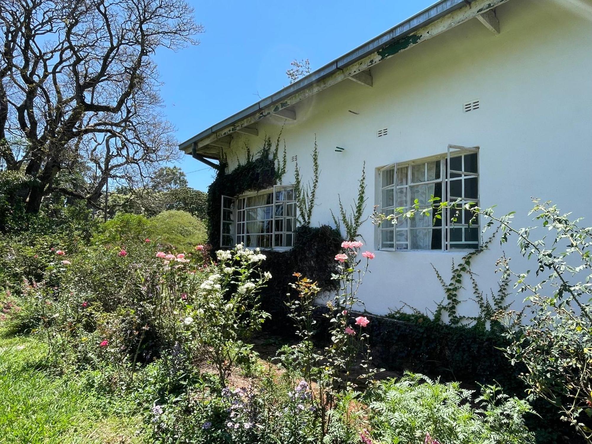 Huntingdon House And Chawani Bungalow Thyolo Esterno foto